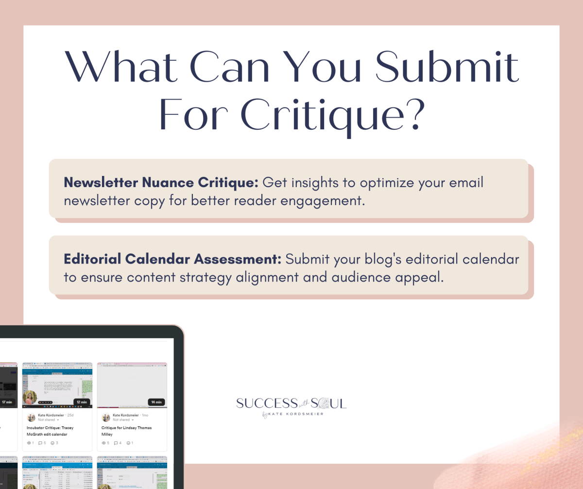 1:1 Personalized Critique, Feedback + Audit - Success with Soul Shop for coaches, course creators and online entrepreneurs.